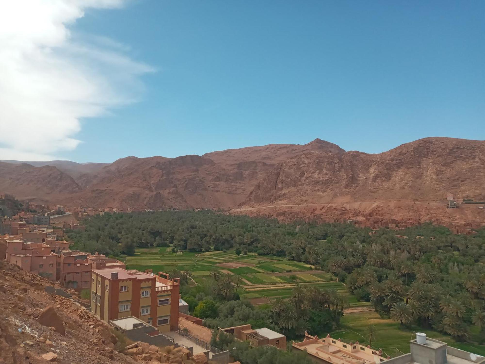 Auberge Ali Todra A Natural Oasis Tinghir Eksteriør bilde